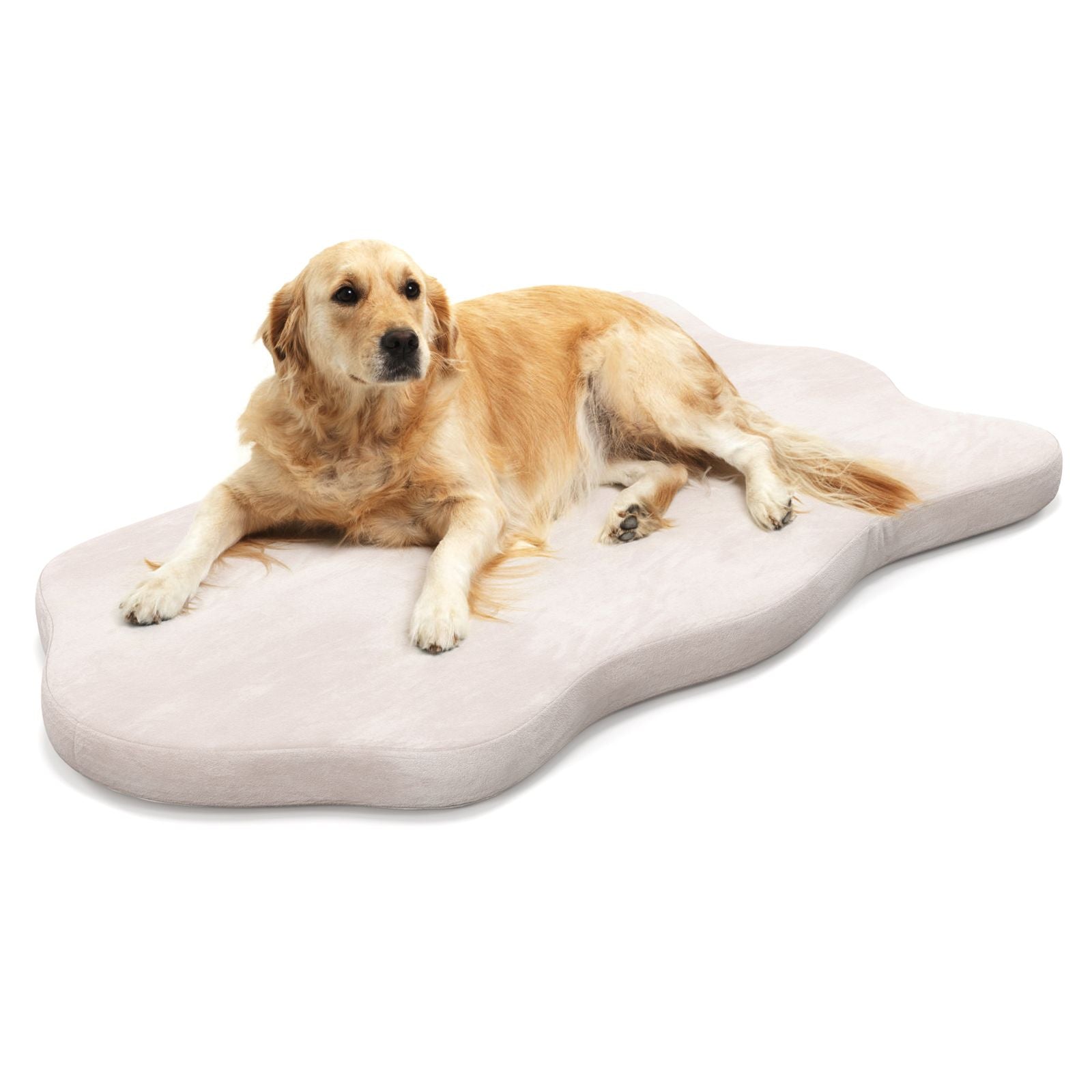 Large Memory Foam Dog Bed with Removable Cover Homenova